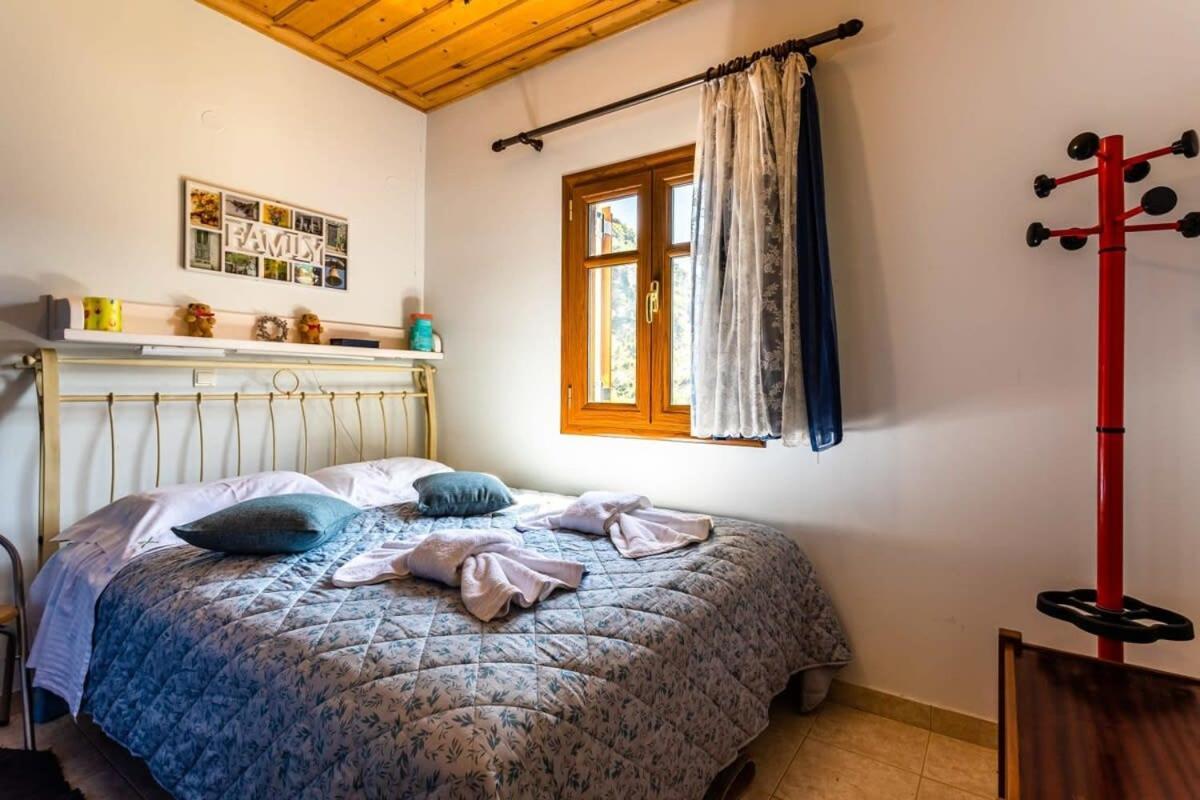 Stemnitsa Stone Residence - Comfy Mountain Getaway エクステリア 写真