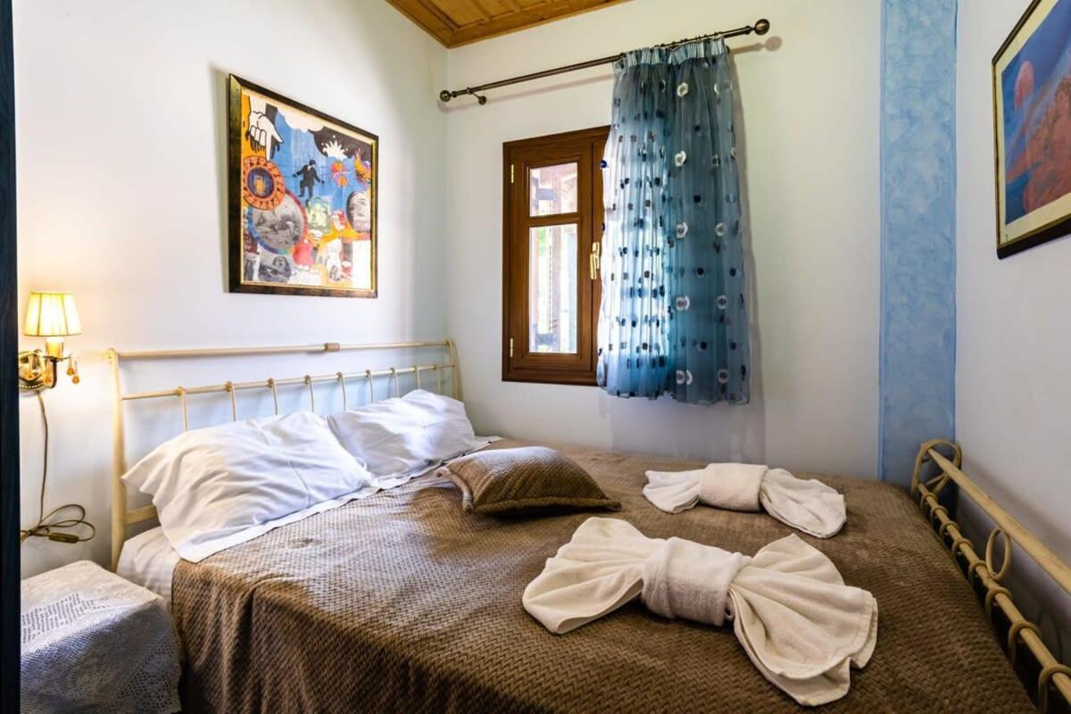 Stemnitsa Stone Residence - Comfy Mountain Getaway エクステリア 写真