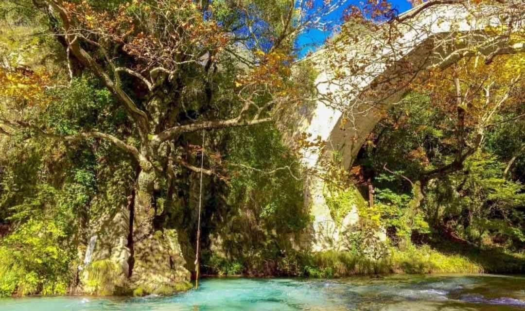 Stemnitsa Stone Residence - Comfy Mountain Getaway エクステリア 写真